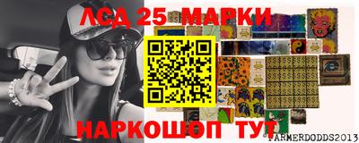 дмт Сланцы