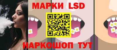 дмт Сланцы