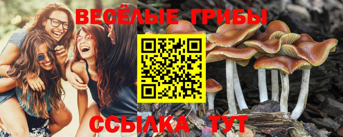 Галлюциногенные грибы мухоморы  Псилоцибиновые грибы ЛСД  Вход с VPN  цены   Петрозаводск 